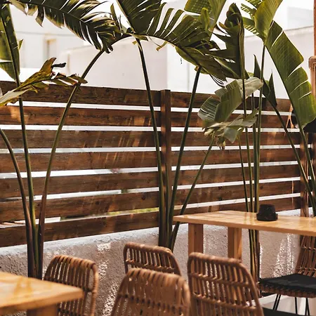 Piperaki Project ناوسا